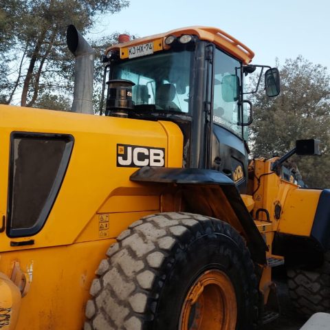 456Z 2018 (USADO)
